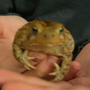 Meet your Posher, Jack